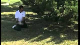 The magic of Seve Ballesteros RIP  5 of his very best moments in Golf GolfGooncom [upl. by Tenneb978]