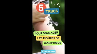 Trucs et astuces pour soulager les piqûres de moustique [upl. by Riba]