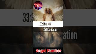 333 Angel Number Meaning [upl. by Eniagrom670]