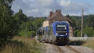 Ligne TrouvilleDeauvilleDivesCabourg [upl. by Oiramel]