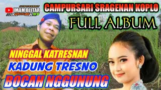 Campursari Sragenan Koplo Full Album  Ninggal Katresan Kadung Tresno [upl. by Llehcam]