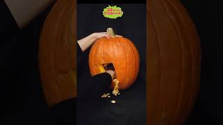 Make Your Own Hum JackOLantern from Zip and the Tiny Sprouts  Pumpkin Carving [upl. by Glialentn]