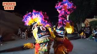 Matlachines de La Ciudadela Parras de La Fuente Coah “San Juanita” tradiciones danza cultura [upl. by Polard]