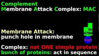 Immuno Complement Easy Tutorial Mnemonic Animation  Immunology Membrane Attack Complex MAC [upl. by Auqenaj405]