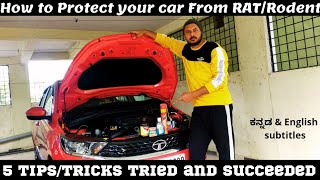 How To Avoid Rats In Car  HOW TO PROTECT CAR FROM RATS  RAT RODENT REPELLENT asvkvlogs rat [upl. by Anilas]