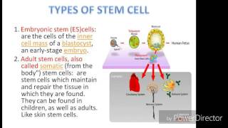 Stem cell and their application [upl. by Aima]