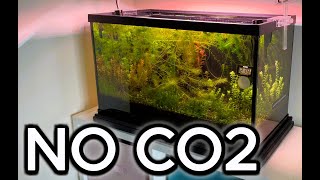 How To Grow Plants NO CO2 [upl. by Aterg]