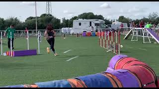 Asha RSCE Neo Reus 161124 Agility [upl. by Alida198]