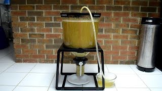 The Catalyst Fermentation System A HandsOn Review [upl. by Now]