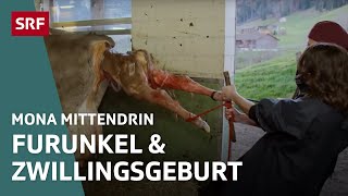 Beim Tierarzt in Appenzell – Von grossen und kleinen Tieren  Mona mittendrin 2021  SRF Dok [upl. by Ayhtin4]