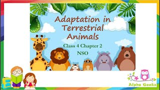 Adaptations in Terrestrial Animals  Module 22 Chapter 2  Olympiad Class 4 Science [upl. by Nannerb]