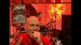 Midnight Oil  Redneck WonderlandConcrete Live on Recovery [upl. by Lauri]