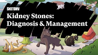 Kidney Stones Overview Diagnosis amp Management Part 1  Sketchy Medical  USMLE Step 2 CK [upl. by Nallac74]