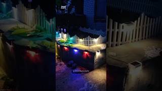 Step Solar Light 🚨  Its loking good  And Very Affordable price 💰 garden products shorts [upl. by Sirahs943]