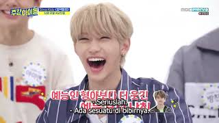 ENGINDO SUB Weekly Idol STRAY KIDS ep401 [upl. by Noffets70]