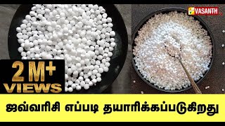 ஜவ்வரிசி எப்படி தயார் செய்கிறார்கள்  how sago  javvarisi made Vasanth tv [upl. by Mrots434]