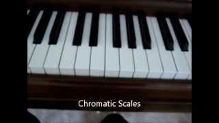 Major Minor and Chromatic Scales and How to Tell the Difference [upl. by Mcnelly]