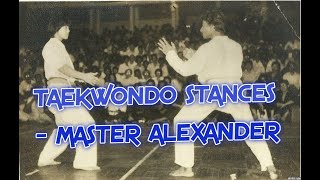 BASICS OF TAEKWONDO STANCE [upl. by Asiaj]