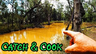 Good OlFashion BOIL UP  GIANT BLUECLAW CRAYFISH  yabby catch clean cook [upl. by Elder]