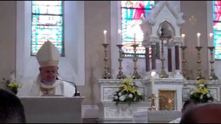 ordination homily [upl. by Deelaw]