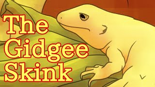 The Gidgee Skink Egernia stokesii Herp Corner Episode 27 [upl. by Liw]