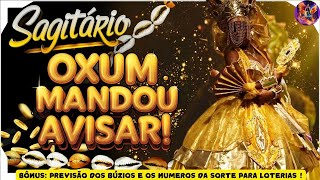 SAGITÁRIO ♐️ URGENTE VAI ACONTECER EM 72HS OXUM FALA TUDO tarot sagitario pickacard Horóscopo [upl. by Costanza]