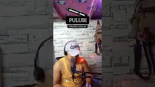 Freddie Aguilar  PULUBI Live Cover  Dagie Boy testing lang [upl. by Ennobe382]