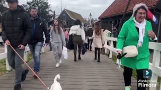 Day trip to Zaandam amp Zaanse Schans [upl. by Hulbig]