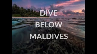 Angsana Ihuru House Reef 4K  Maldives  Yi4K [upl. by Ivette385]