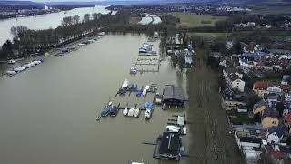 Hochwasser in Wiesbaden  Luftaufnahmen vom Schiersteiner Hafen und Biebricher Rheinufer [upl. by Haynor]