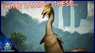 Herperornis Taming Is The Worst  Ark Survival Ascended EP56 [upl. by Delastre388]