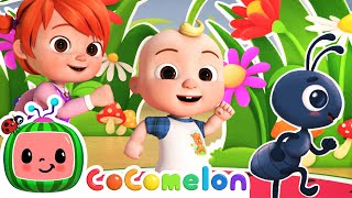 Ants Go Marching Dance  Dance Party  CoComelon Nursery Rhymes amp Kids Songs [upl. by Sellma]