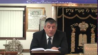 Common Questions Series 23  Sinner Parents DNA in Court Rabbis Shabbat Eruv [upl. by Emelen480]