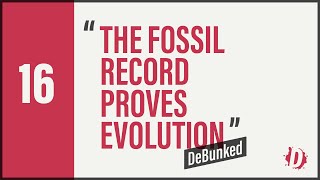 D16  The Fossil Record Proves Evolution  Debunked [upl. by Ricarda84]