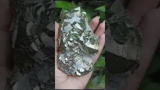 Ultra shiny pyrite cluster [upl. by Etteyafal]