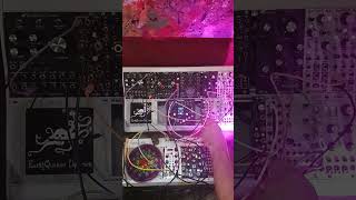 ABSURD TECHNO misha bifold pluck eurorack [upl. by Stasny662]