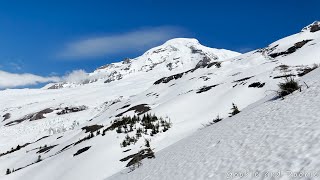 Heliotrope Ridge Mt Baker  4K  Virtual Walking  Hike  ASMR [upl. by Etireuqram634]