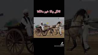 tangewala Khair mangda song [upl. by Roderica]