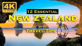 12 Essential NEW ZEALAND TRAVEL Tips  WATCH BEFORE You Go [upl. by Dimo]