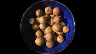 How to make oak gall ink by David Begley [upl. by Eneleahs]