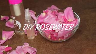 HOW TO MAKE quotREALquot ROSEWATER FOR LOCS  ROSE SERIES PART I [upl. by Efeek]