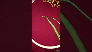 whipped back stitch embroidery art viralvideo shorts ytshorts Man ReetTipsandtriks [upl. by Leirej951]