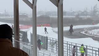 Skiers Pulled by Horses Showcase Their Skills During Skijoring Event [upl. by Tanney351]