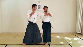 Aikido Ikkyo Drunken Master Style against Double Punch  Aikido Berlin [upl. by Federica]