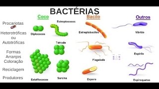 Aula 03 Microbiologia  Bactérias [upl. by Aleac519]