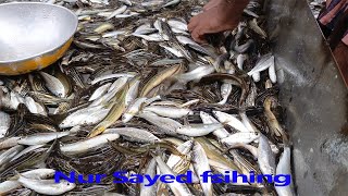 এত বড় মাছের আড়ৎ আগে দেখিনি I have never seen such a big fish market before [upl. by Eyssej]