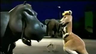 The Wild 2006  TV Spot [upl. by Nera]