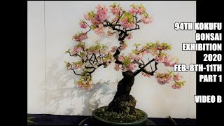 94th KOKUFU BONSAI EXHIBITION 2020 PART 1 Tokyo Feb 811 video B 第94回国風盆栽展（前期）ビデオ B [upl. by Asiuol]