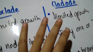 Difference between Rhizome and Corm Difference between Phylloclade and Cladode [upl. by Lloyd132]