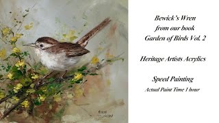 Beswicks Wren Speed Painting Garden of Birds Book [upl. by Vedette]